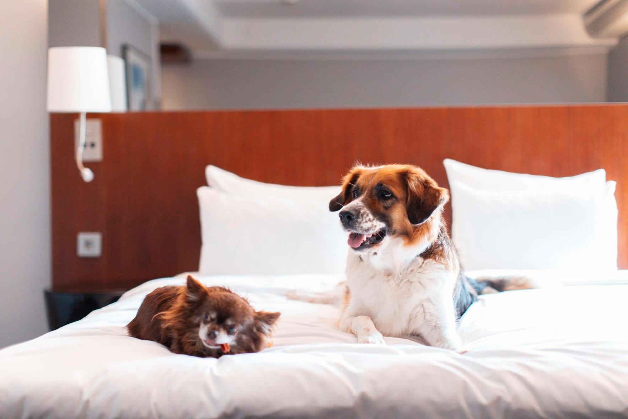Radisson Blu Arlandia Hotel, Stockholm-Arlanda Buitenkant foto